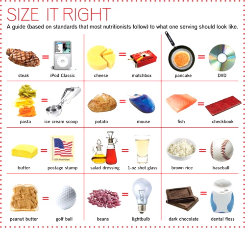 Portion Size Guide For Weight Loss & Healthy Eating - Transfitnation, Online Personal Training Studio